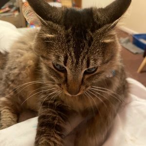 Meet your Posher, Leah